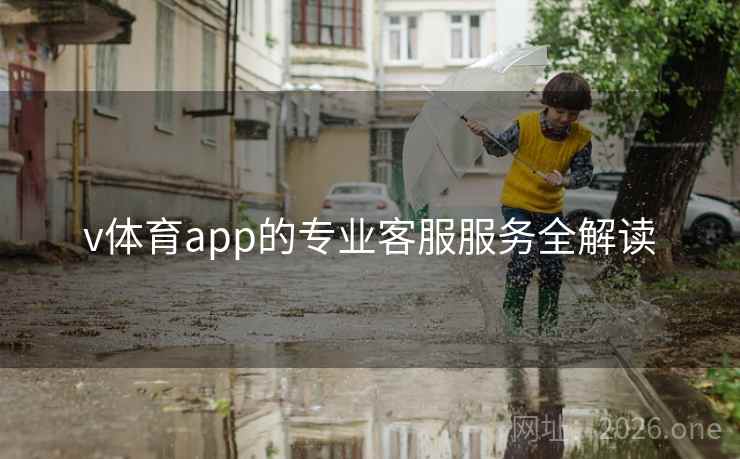 v体育app的专业客服服务全解读