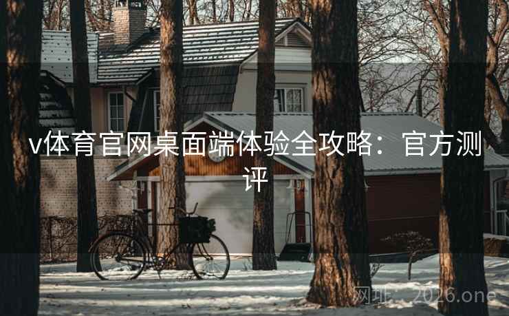 v体育官网桌面端体验全攻略：官方测评