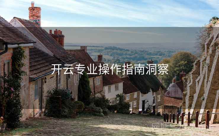 开云专业操作指南洞察