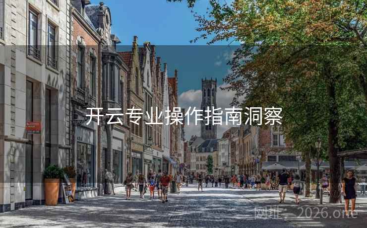 开云专业操作指南洞察
