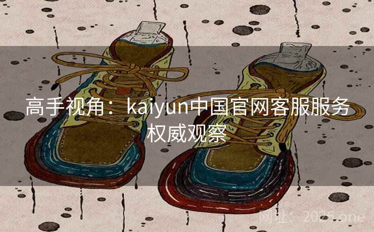 高手视角：kaiyun中国官网客服服务权威观察