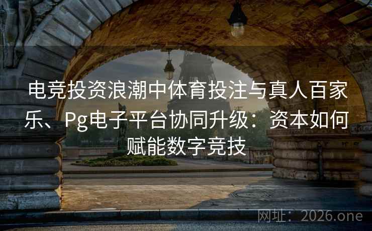 电竞投资浪潮中体育投注与真人百家乐、Pg电子平台协同升级：资本如何赋能数字竞技