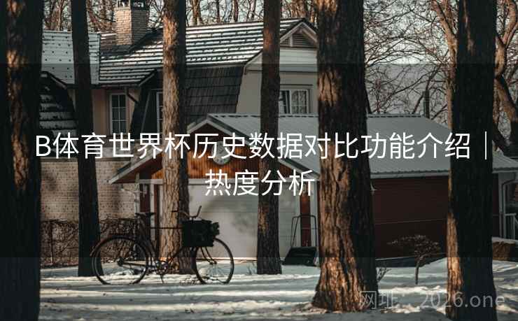 B体育世界杯历史数据对比功能介绍｜热度分析