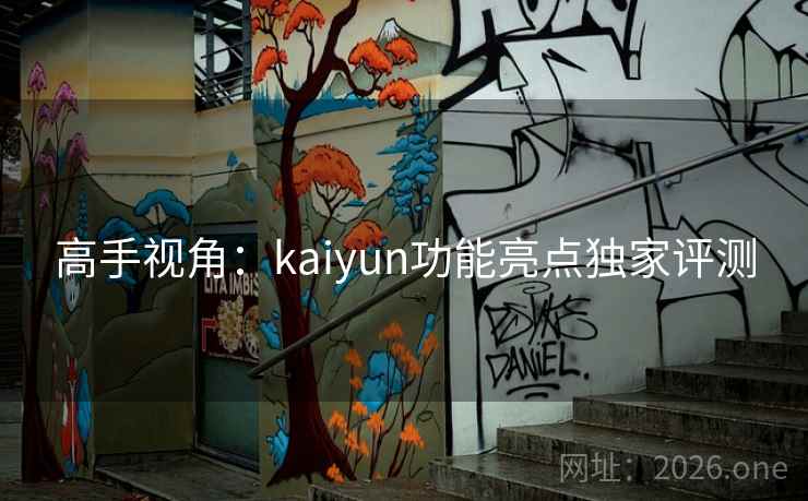 高手视角：kaiyun功能亮点独家评测