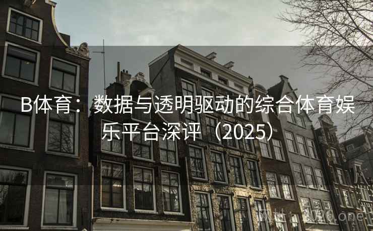 B体育：数据与透明驱动的综合体育娱乐平台深评（2025）