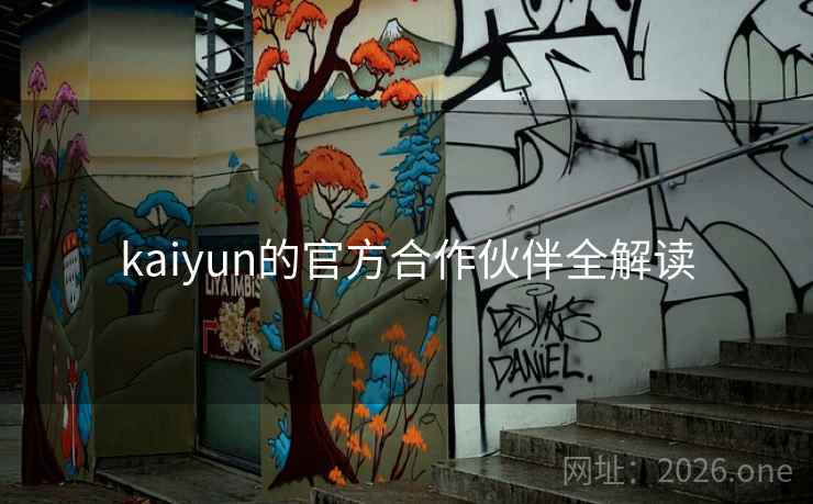 kaiyun的官方合作伙伴全解读