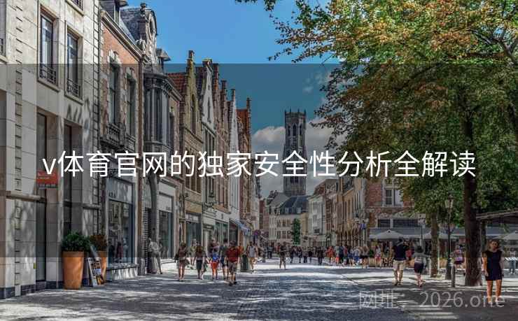 v体育官网的独家安全性分析全解读