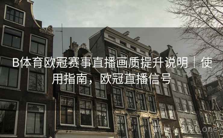 B体育欧冠赛事直播画质提升说明|使用指南,欧冠直播信号 B体育欧冠赛事直播画质提升说明|使用指南,欧冠直播信号