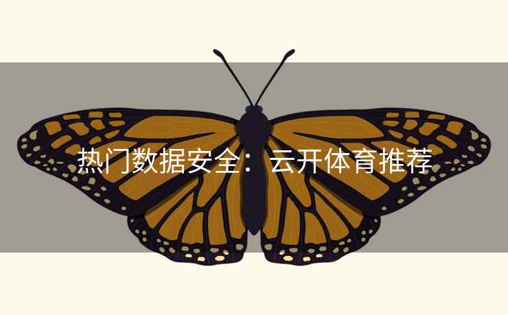 热门数据安全：云开体育推荐