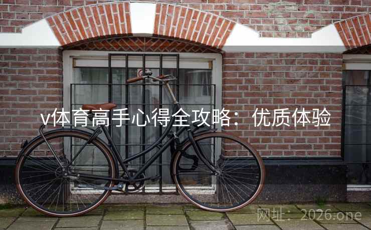 v体育高手心得全攻略：优质体验