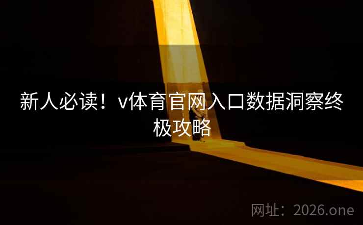 新人必读！v体育官网入口数据洞察终极攻略