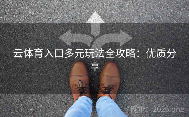 云体育入口多元玩法全攻略：优质分享