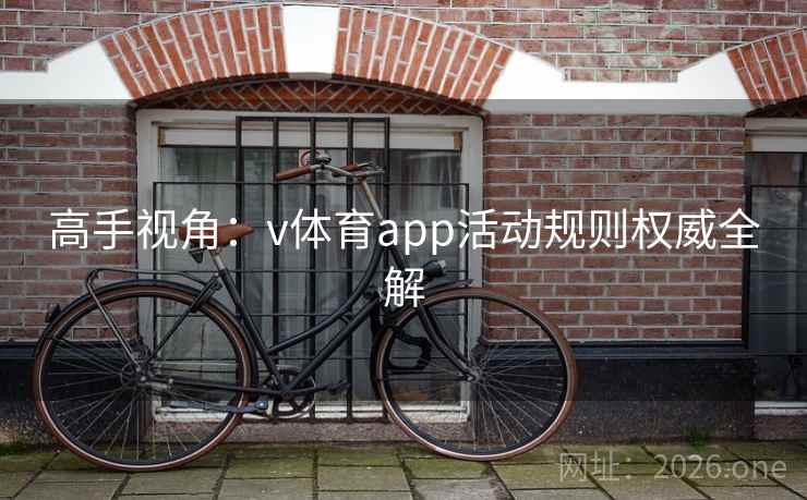 高手视角：v体育app活动规则权威全解