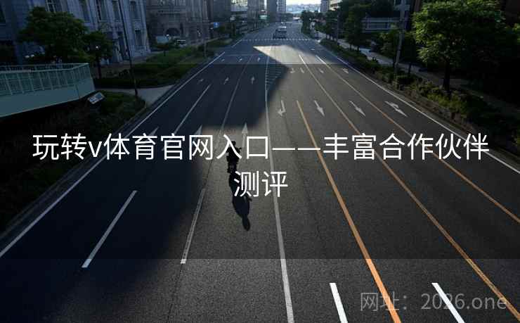 玩转v体育官网入口——丰富合作伙伴测评