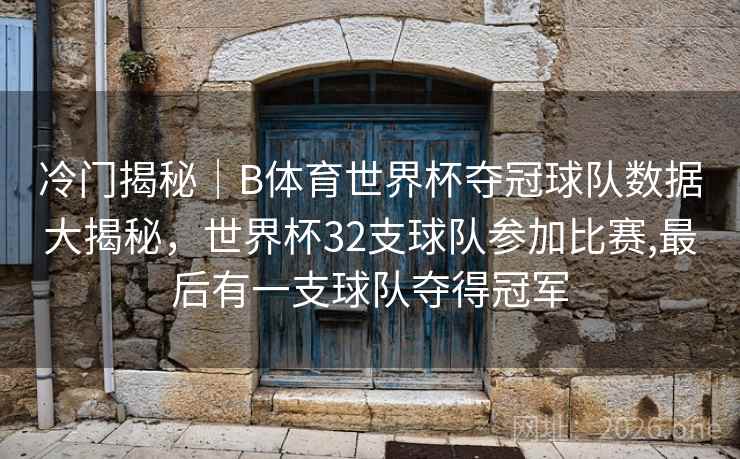 冷门揭秘｜B体育世界杯夺冠球队数据大揭秘，世界杯32支球队参加比赛,最后有一支球队夺得冠军