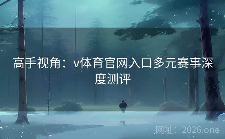 高手视角：v体育官网入口多元赛事深度测评