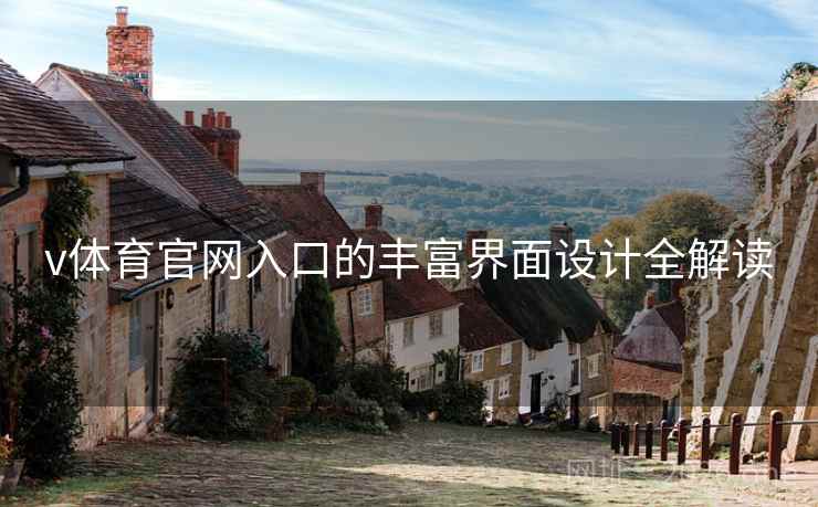 v体育官网入口的丰富界面设计全解读
