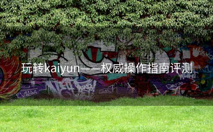 玩转kaiyun——权威操作指南评测