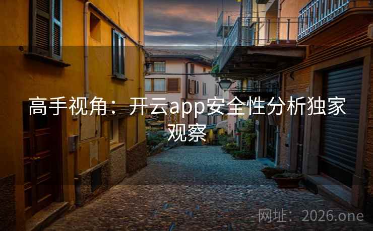 高手视角：开云app安全性分析独家观察